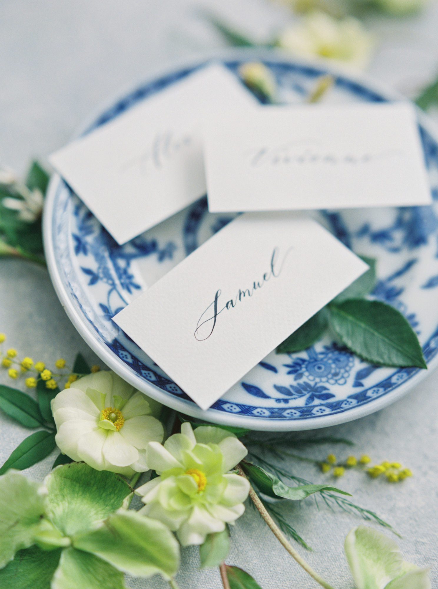 Colorado wedding calligraphy, place cards for wedding guests